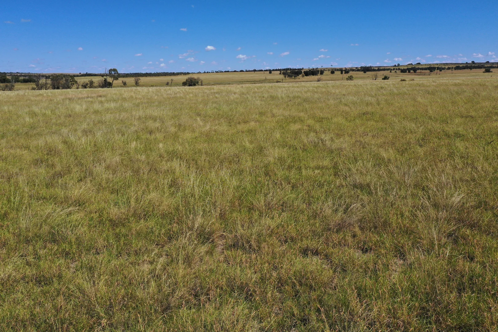 Additional image 14 of 236 Tiger Scrub Road, Roma QLD 4455
