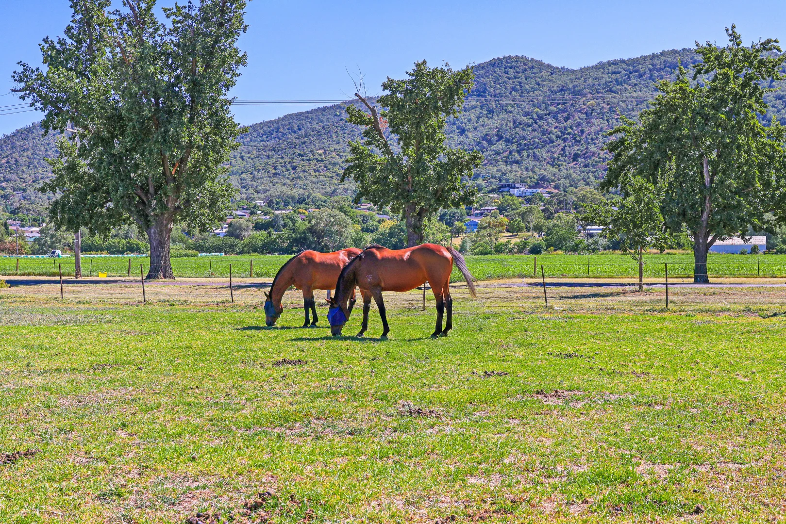 Additional image 12 of 73-95 King George V Ave, Tamworth NSW 2340
