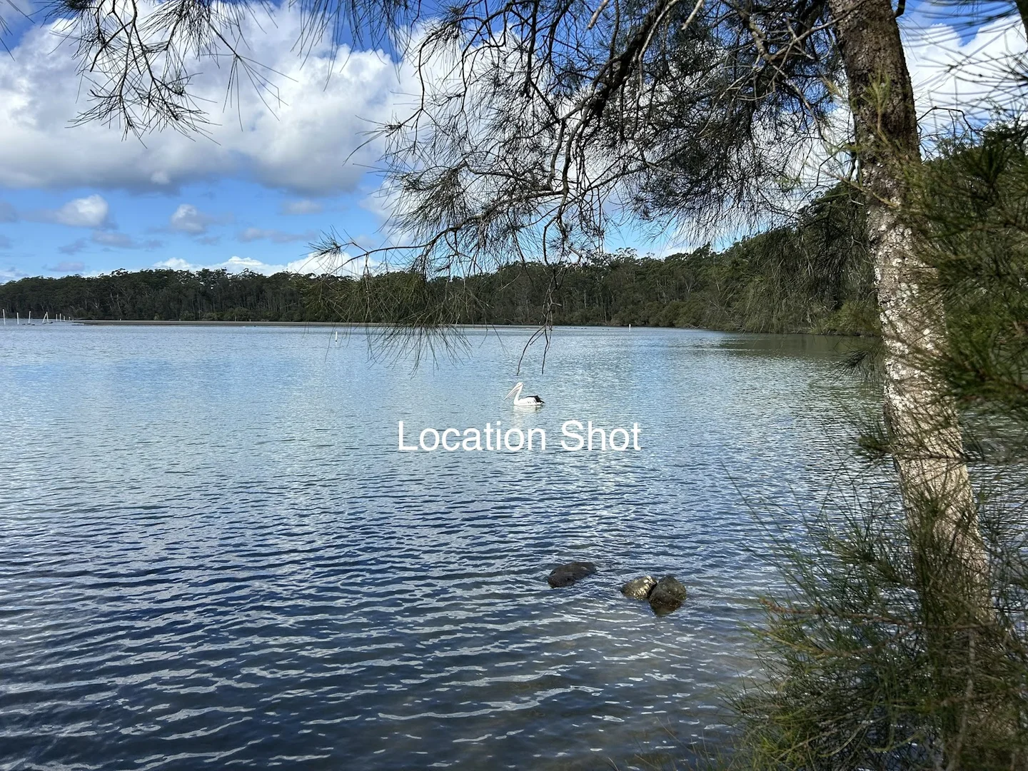 Additional image 39 of 229 Ocean Drive, Lakewood NSW 2443