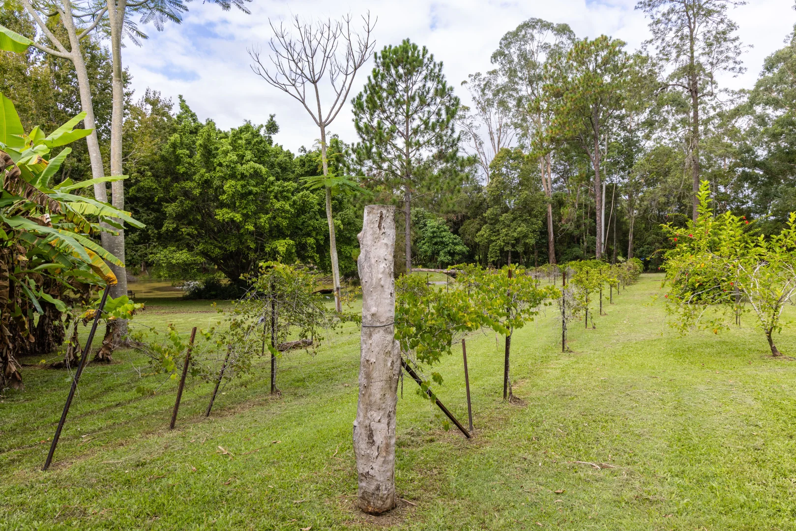 Additional image 9 of 15-31 Neeraway Road, Eerwah Vale QLD 4562