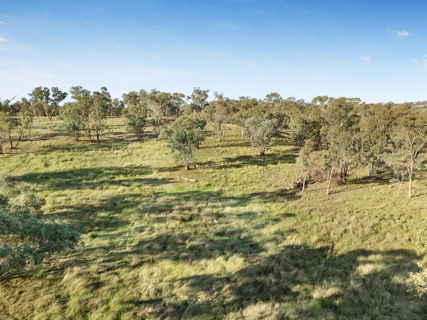 Additional image 18 of 384 Yellowbox Road, Manildra NSW 2865