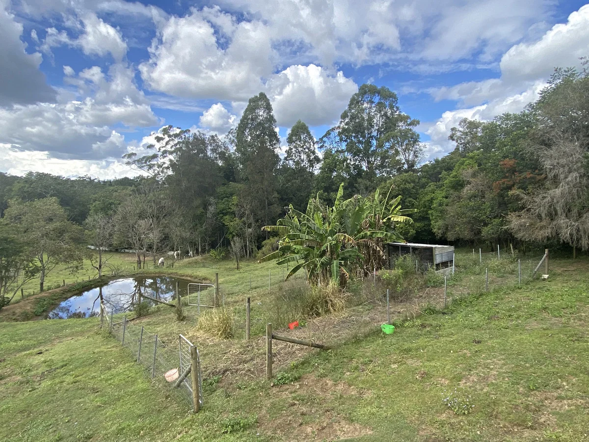 Additional image 8 of Eerwah Vale QLD 4562
