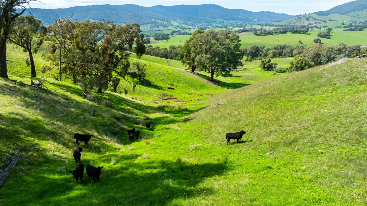 Additional image 12 of Sandy Creek Road, Sandy Creek VIC 3695