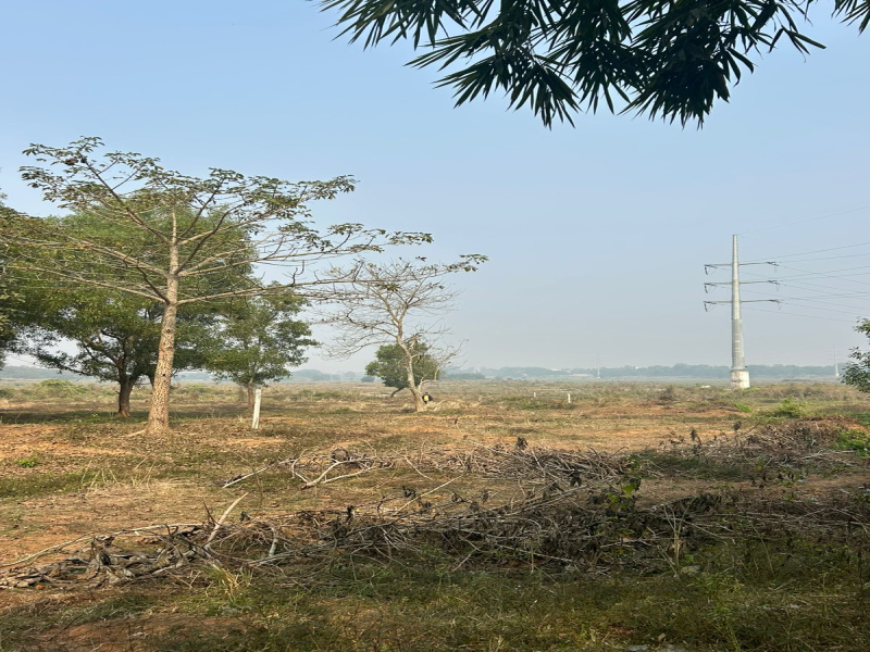 Additional image 2 of Balianta, Bhubaneswar