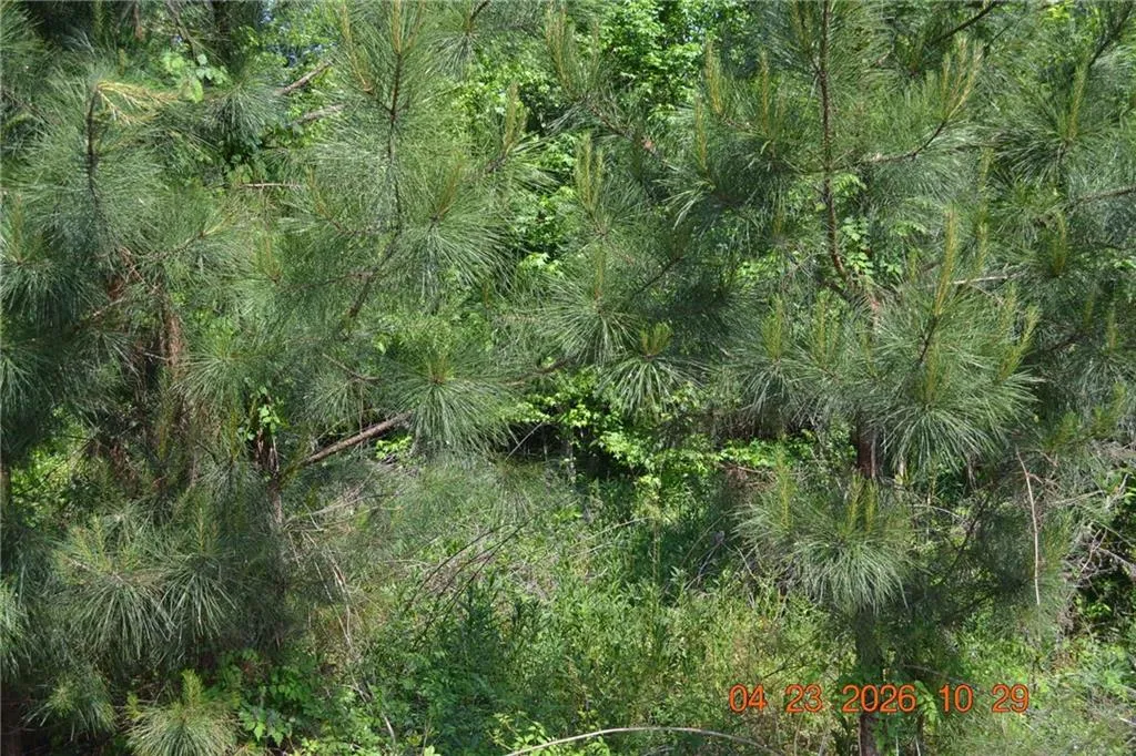 Additional image 12 of Sandfort Rd and 3rd St. South, Phenix City, AL 36867
