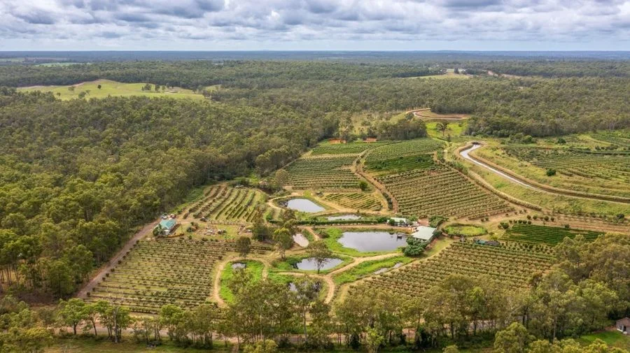 Additional image 18 of 86 Simpsons Road, Bullyard QLD 4671