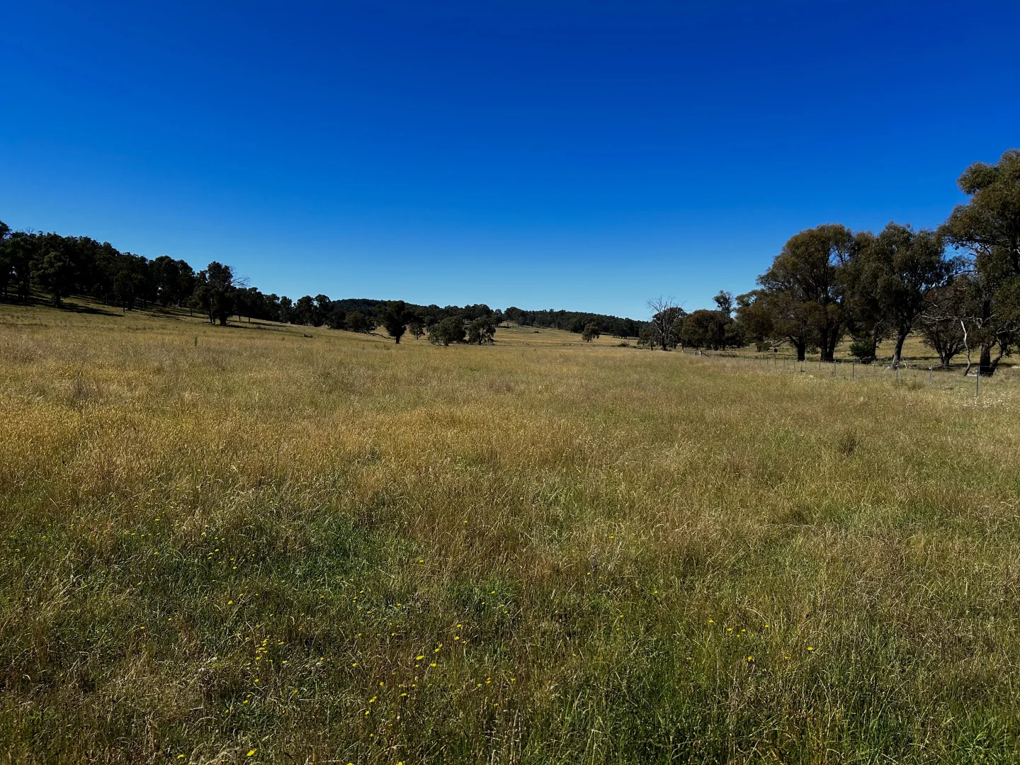 759 Whans Road, Guyra NSW 2365 photo 3