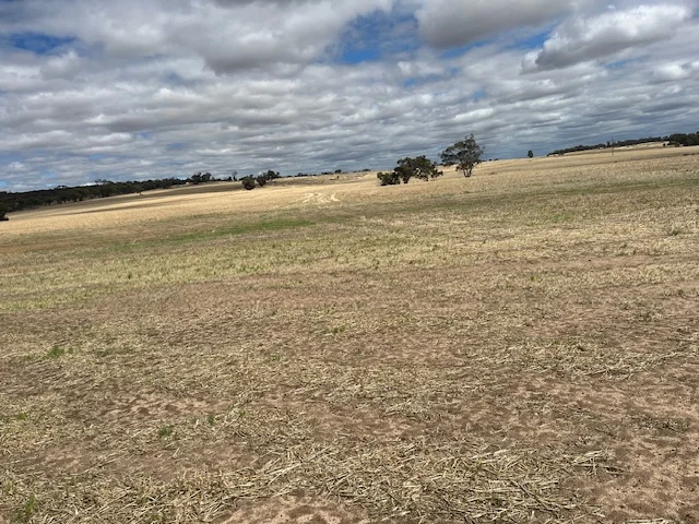 Additional image 10 of 351 Cooke Road, East Popanyinning WA 6309
