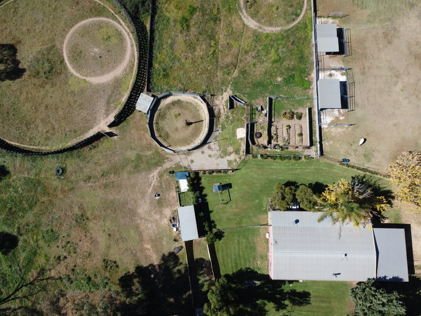 56 Spring Creek Road, Young NSW 2594 photo 4
