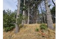 341 Ridge Rd, Shelter Cove, CA, 95589 photo 3
