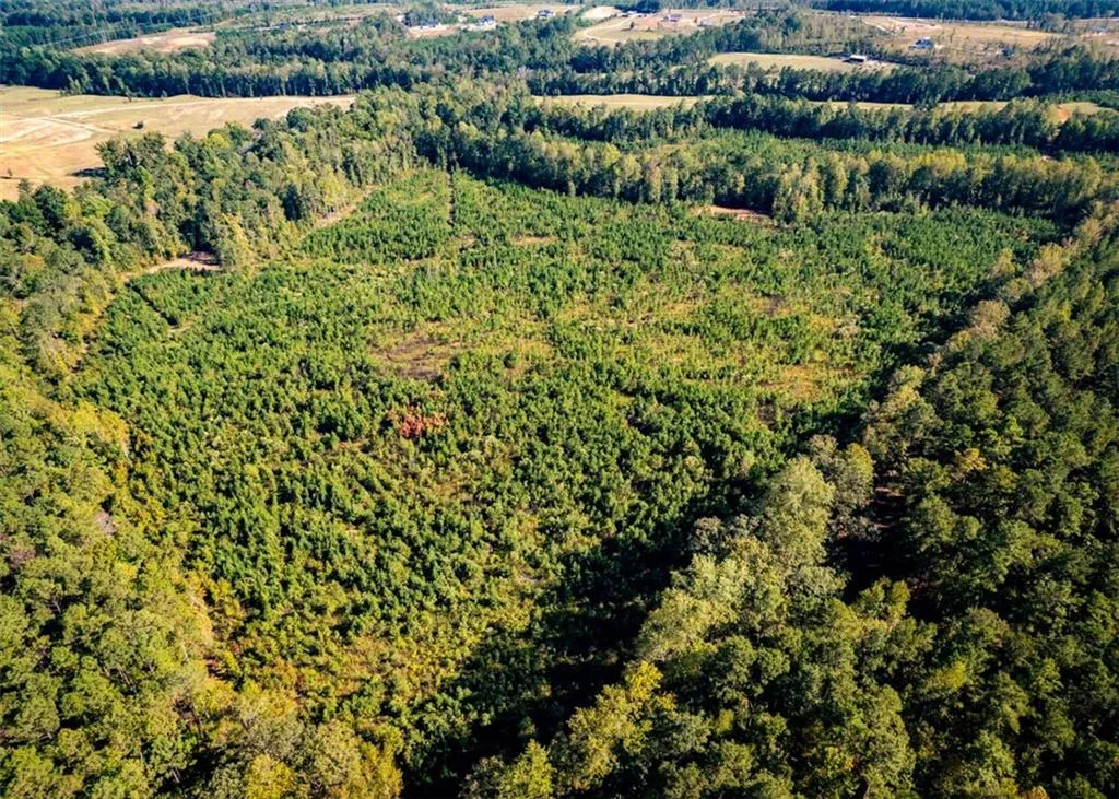 Additional image 18 of Lee Rd 334, Salem, AL 36874