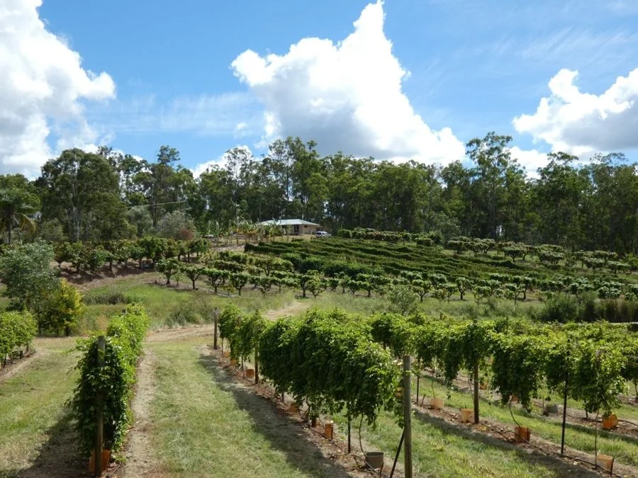 Additional image 2 of 86 Simpsons Road, Bullyard QLD 4671