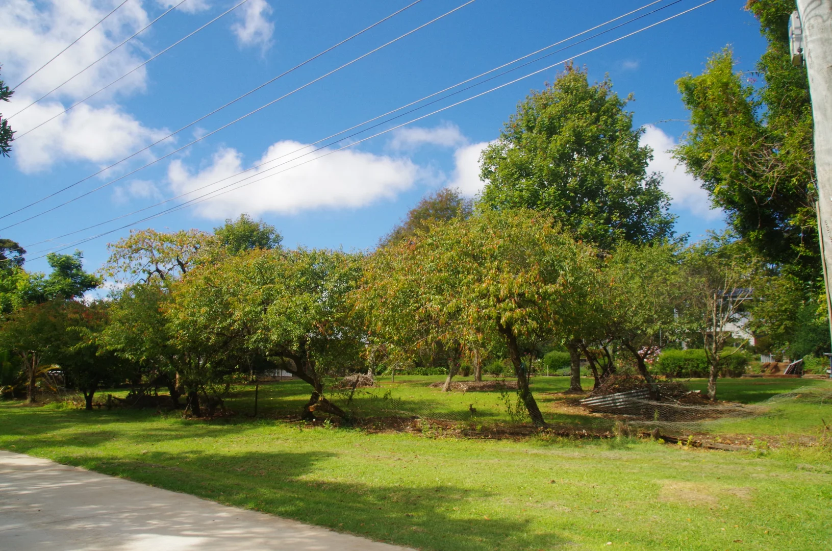 Additional image 7 of 29A Yuulong Road, Tamborine Mountain QLD 4272