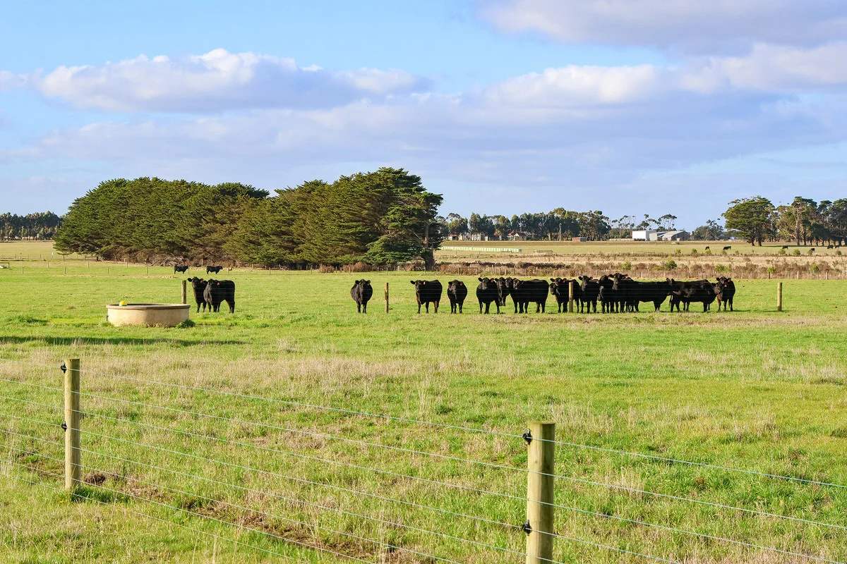 59 Gapes Road, Winslow VIC 3281 photo 4