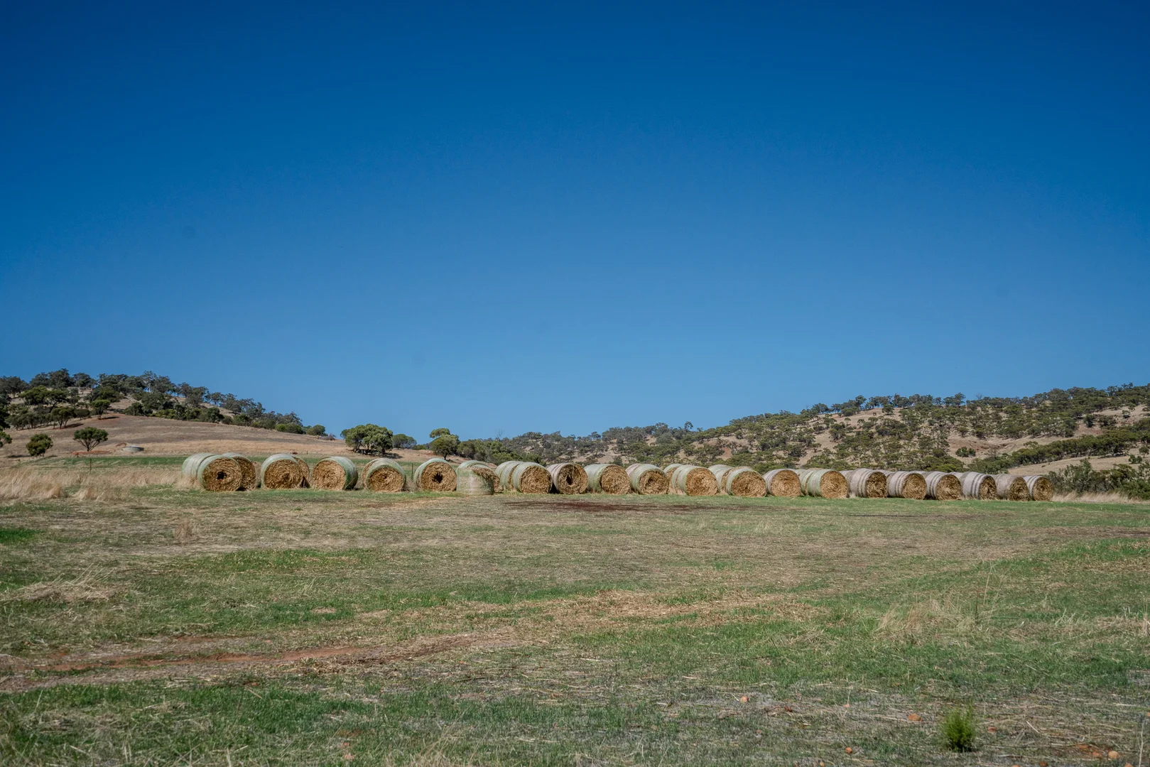 Toodyay WA 6566 photo 3