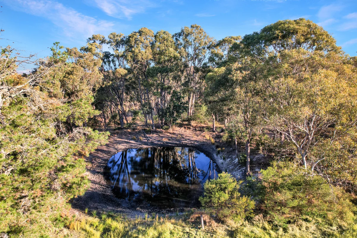 Additional image 29 of 145 Rogers Road, Applethorpe QLD 4378