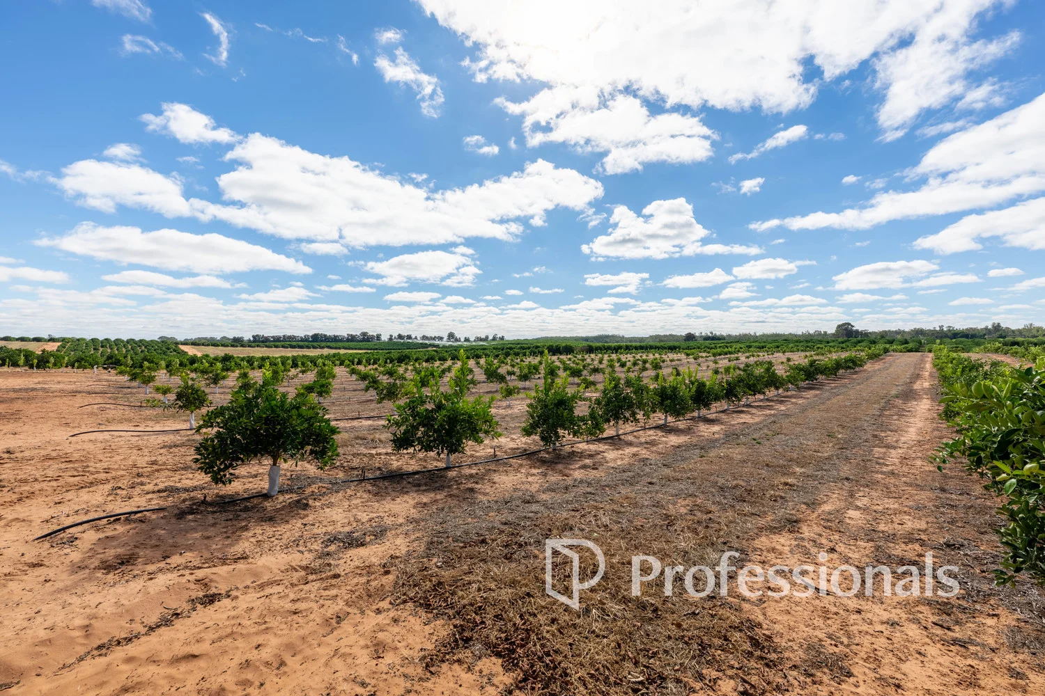 Additional image 7 of 3724 & 3744 Kulkyne Way, Colignan VIC 3494