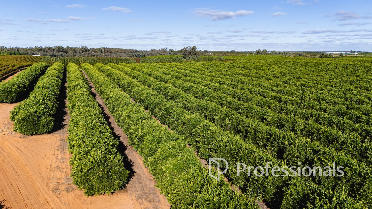 Additional image 6 of 2836 Kulkyne Way, Nangiloc VIC 3494