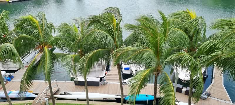 216 Ocean Drive photo 3