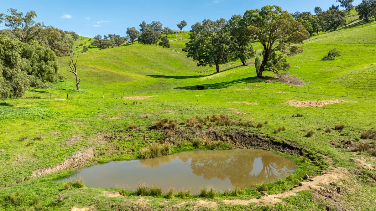 Additional image 2 of Sandy Creek Road, Sandy Creek VIC 3695