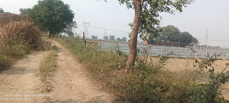 Fatehabad Road, Agra photo 2