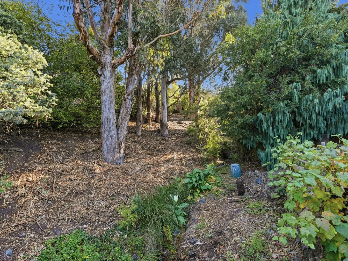 Additional image 28 of 197 Channel Highway, Taroona TAS 7053