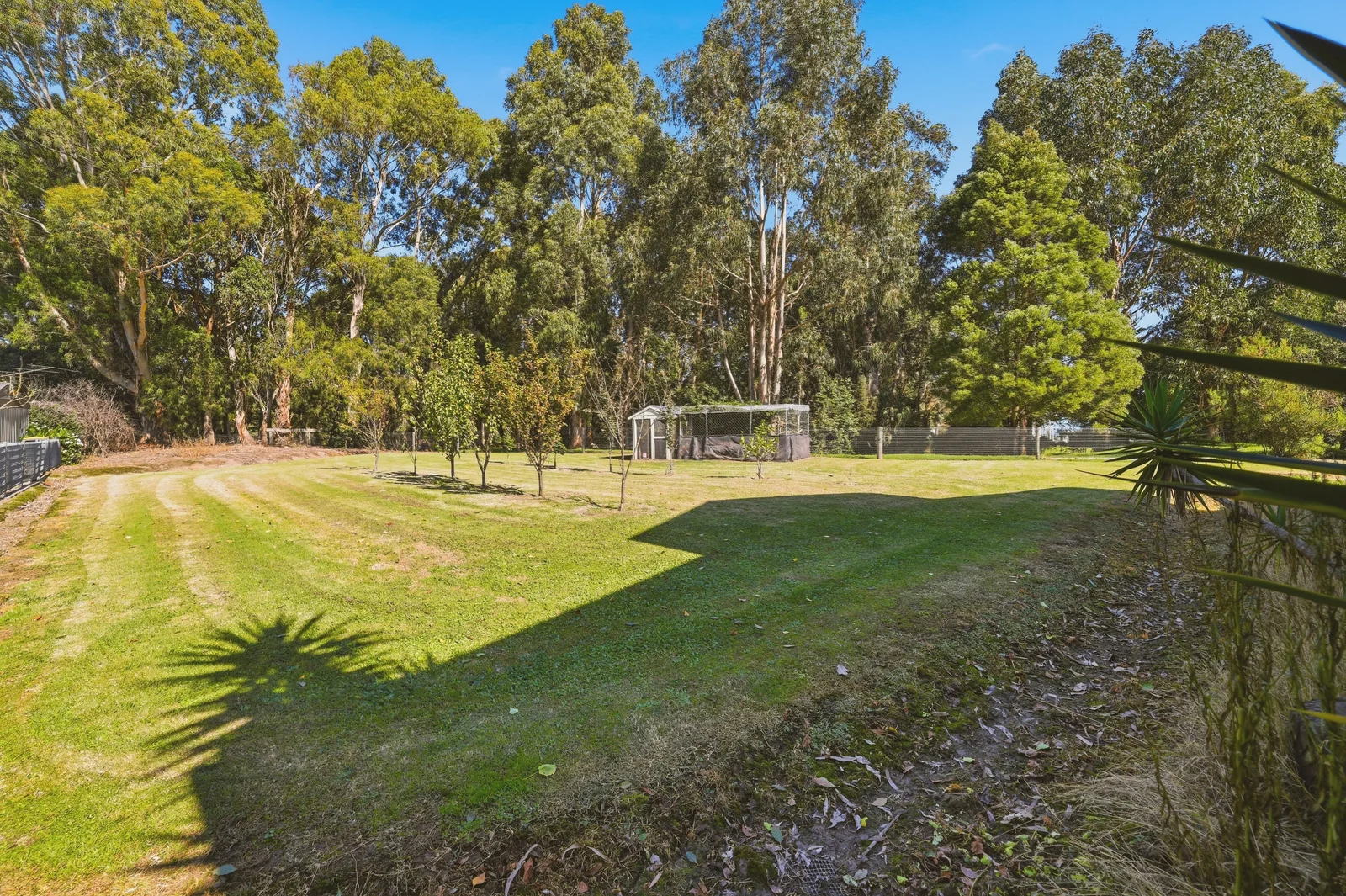 Additional image 16 of 8A Mill St, Toora VIC 3962