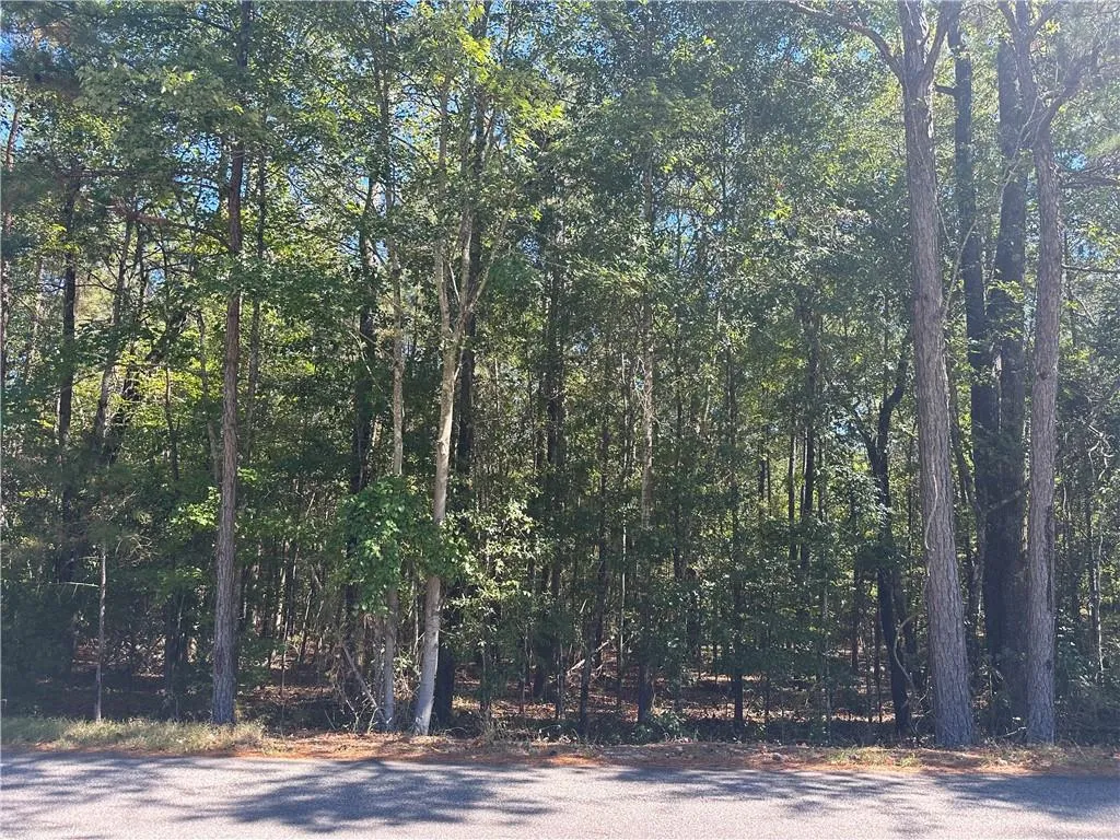 Additional image 11 of Lee Rd 288, Smiths Station, AL 36877