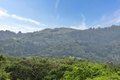 Additional image 3 of 120 Deer Meadow Ln, Portola Valley, CA, 94028