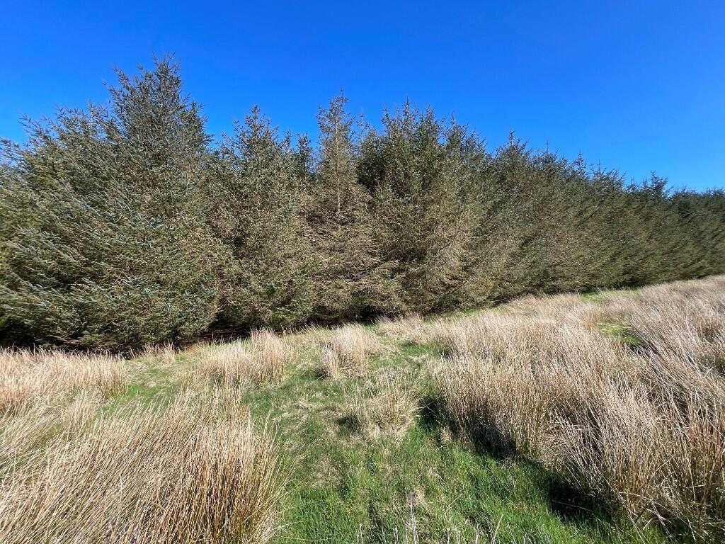 Additional image 15 of Lot 1 Woodland at Broadmuir, Hill of Fisherie, Turriff, AB53 5QL