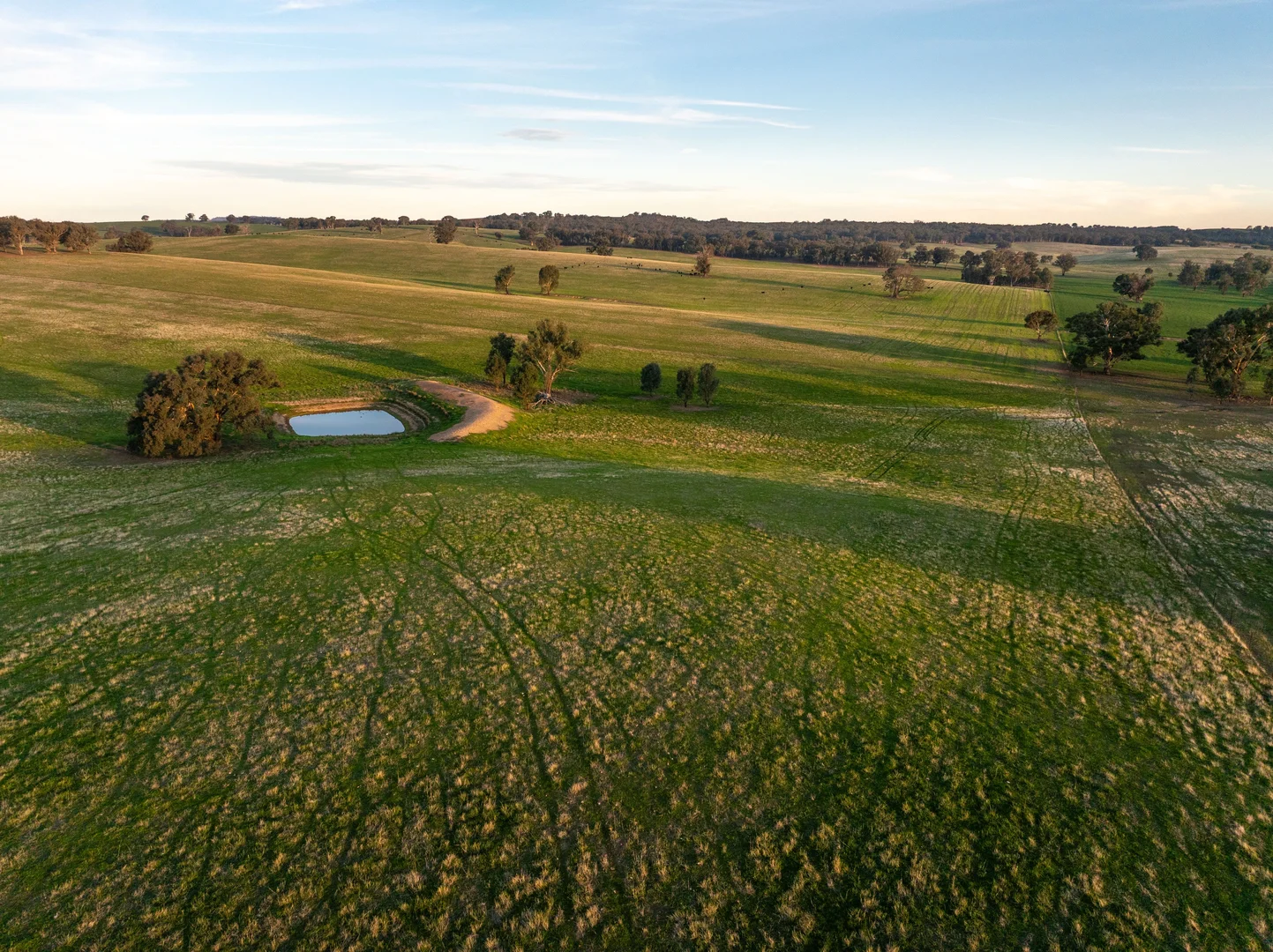 Additional image 23 of "KALOONA" Holbrook Road, Mangoplah NSW 2652