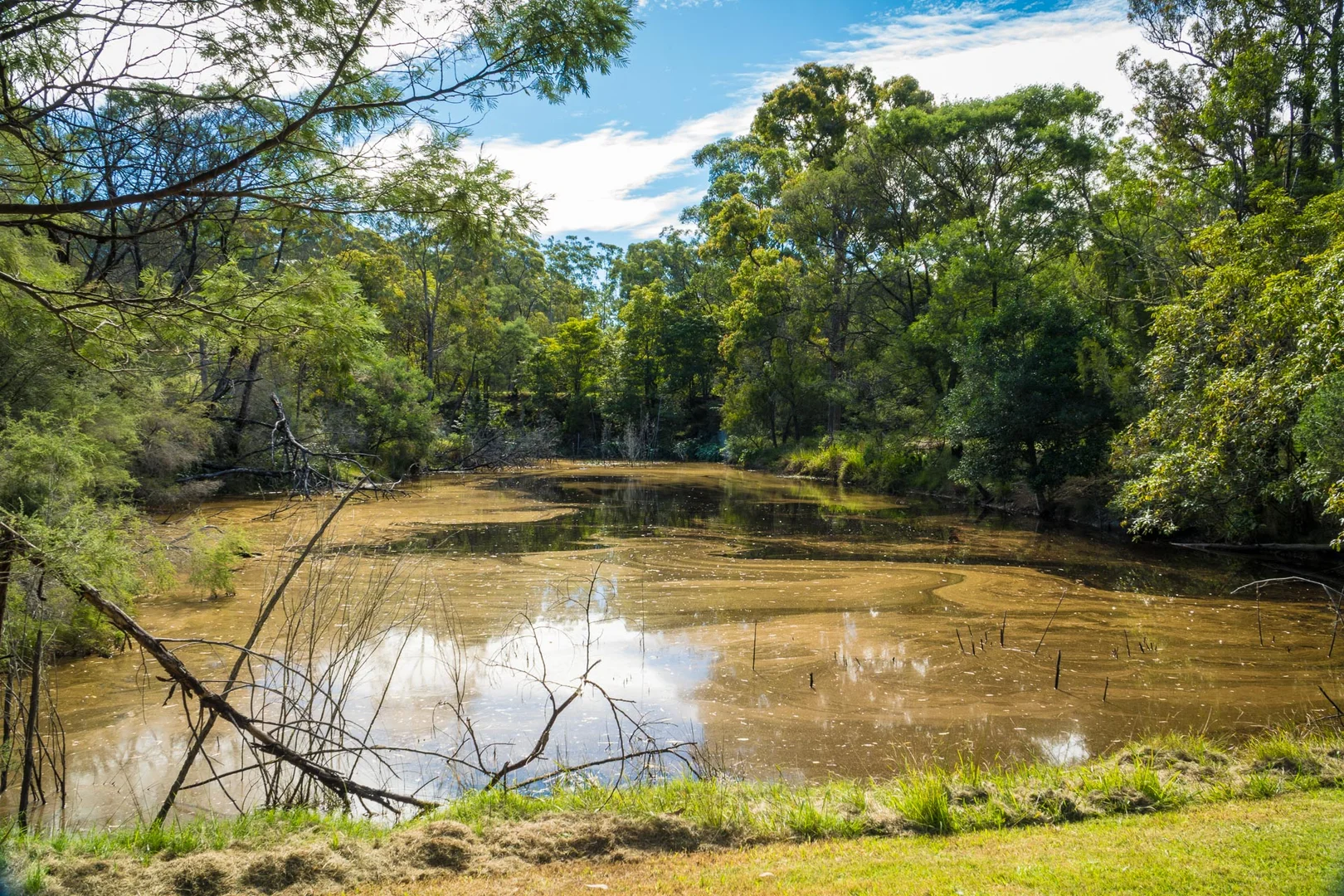 Additional image 37 of 20 Stringybark Place, Millingandi NSW 2549
