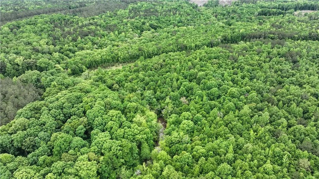 Additional image 16 of 1850 Lee Rd 140, Salem, AL 36874
