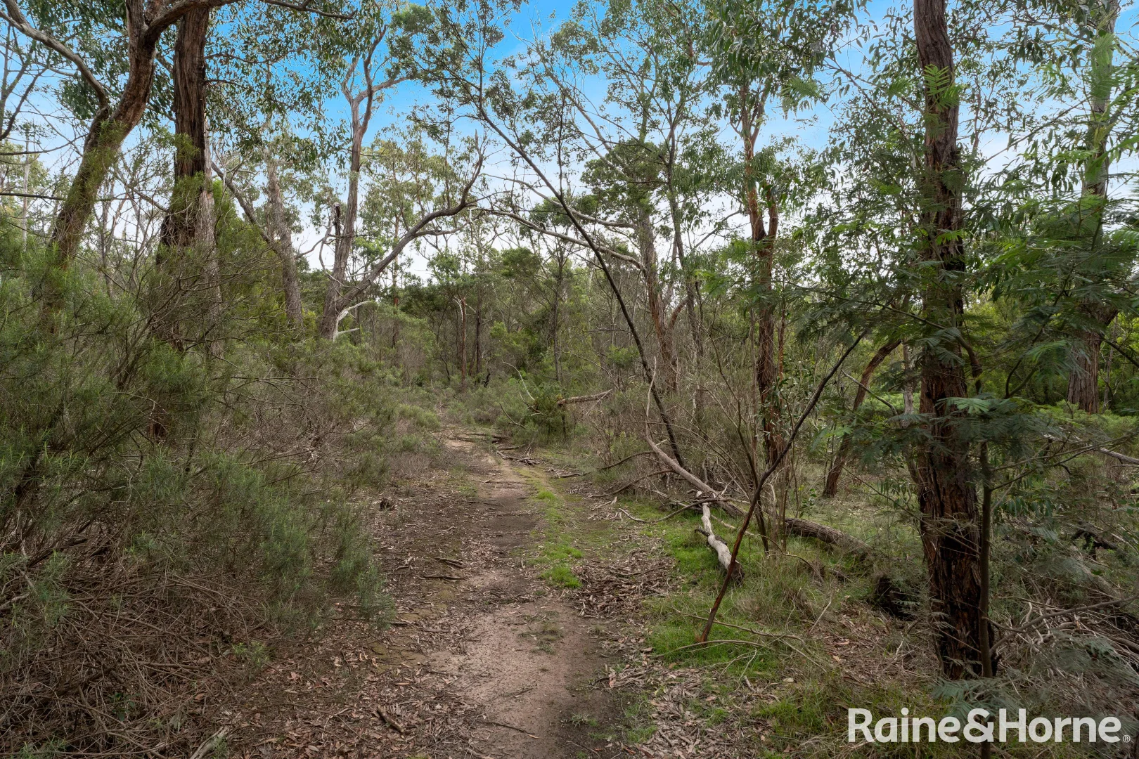Additional image 4 of Lot 6 Royal Pde, Riddells Creek VIC 3431