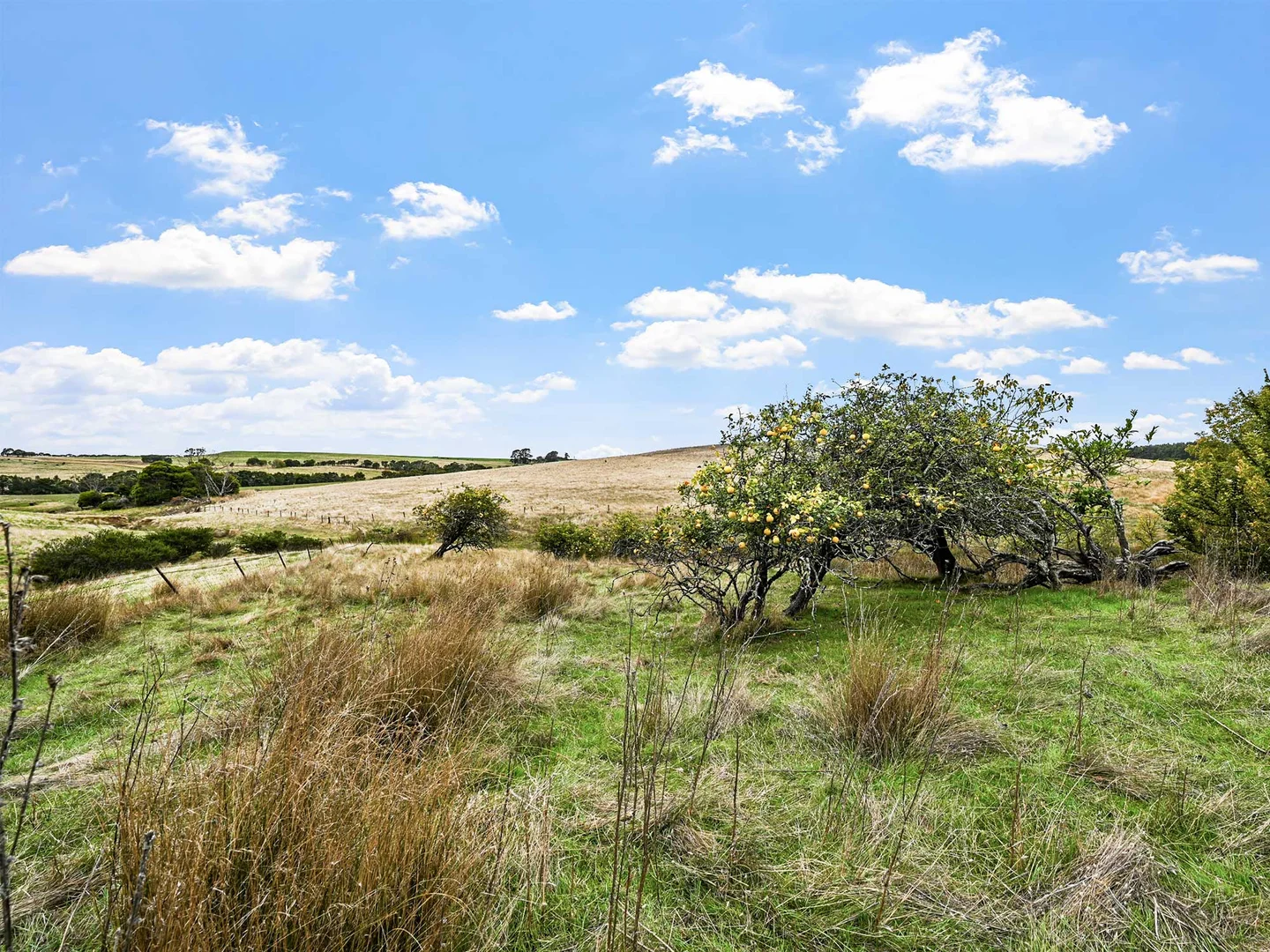 Additional image 14 of 4231 Dartmoor-Hamilton Road, Grassdale VIC 3302