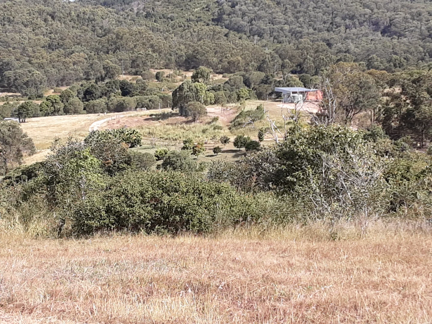 Additional image 25 of 120 Aplin Road, Bracewell QLD 4695