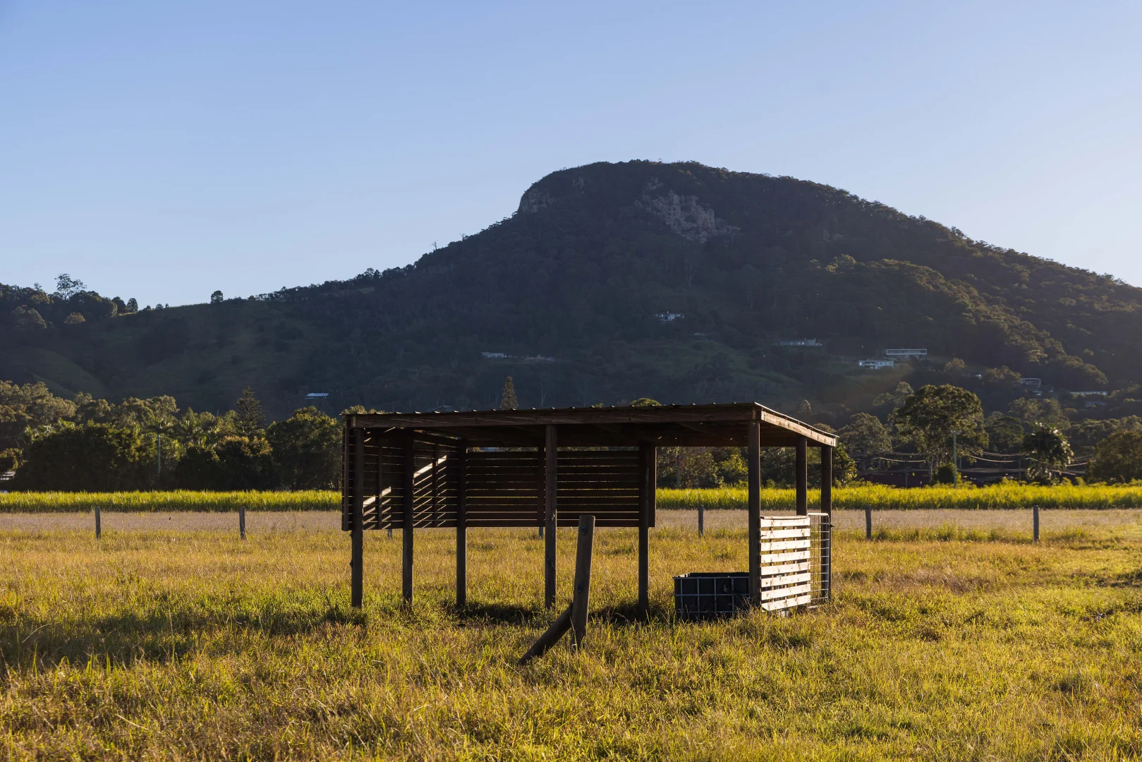 Additional image 14 of 54-64 Dynes Road, Valdora QLD 4561