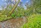 Additional image 35 of 29 Dalmore Crescent, Helensburgh, G84 8JP