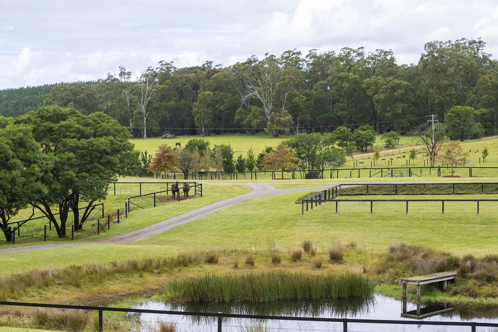 Additional image 18 of 108 Vinicombes Road, Tallong NSW 2579