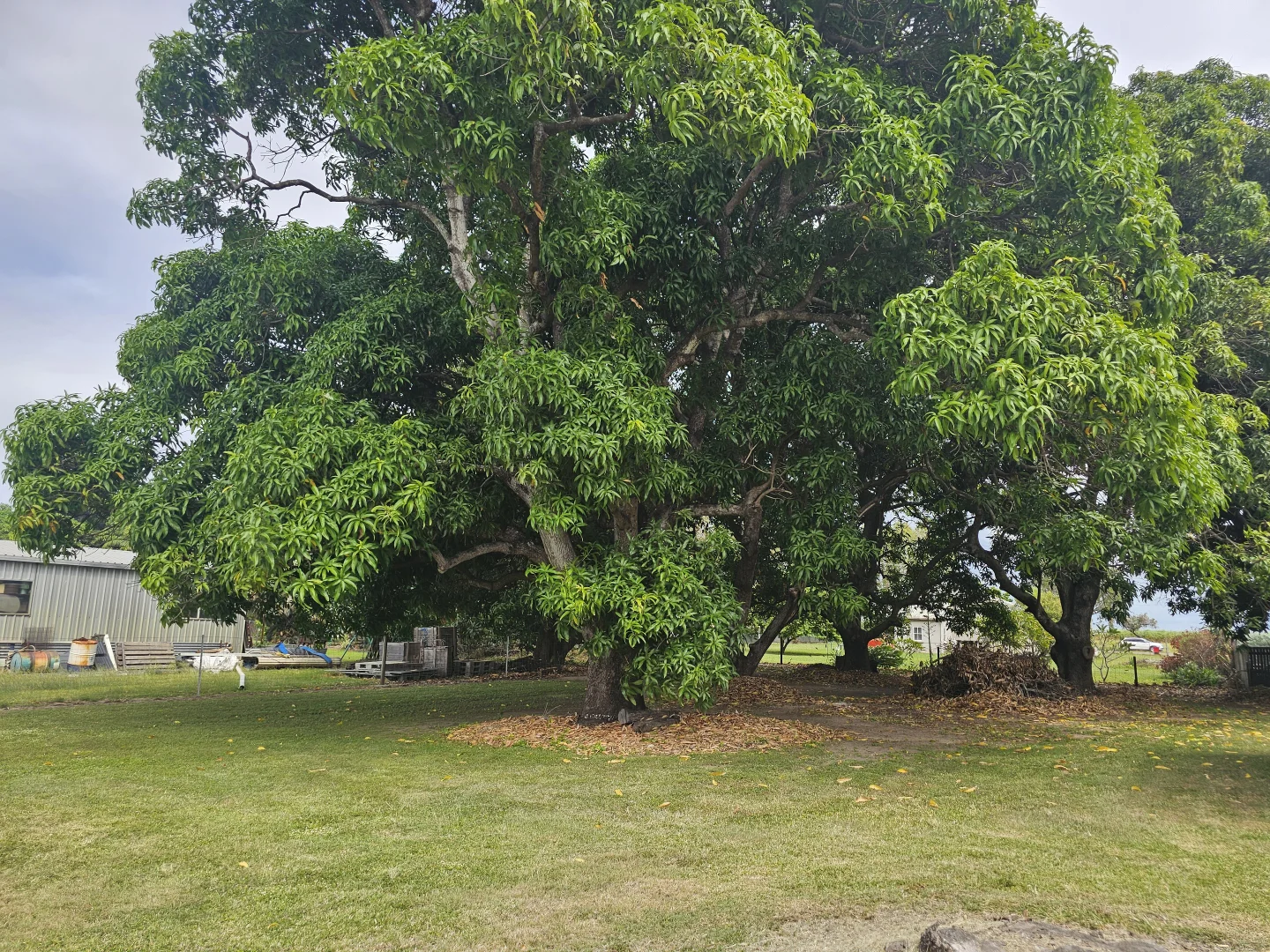 Additional image 26 of 10-14 Seventh A Avenue, Home Hill QLD 4806