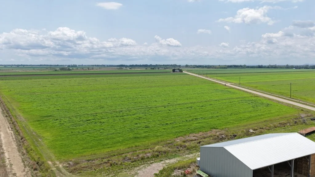 Additional image 19 of 625 Shirbourne Road, Giru QLD 4809