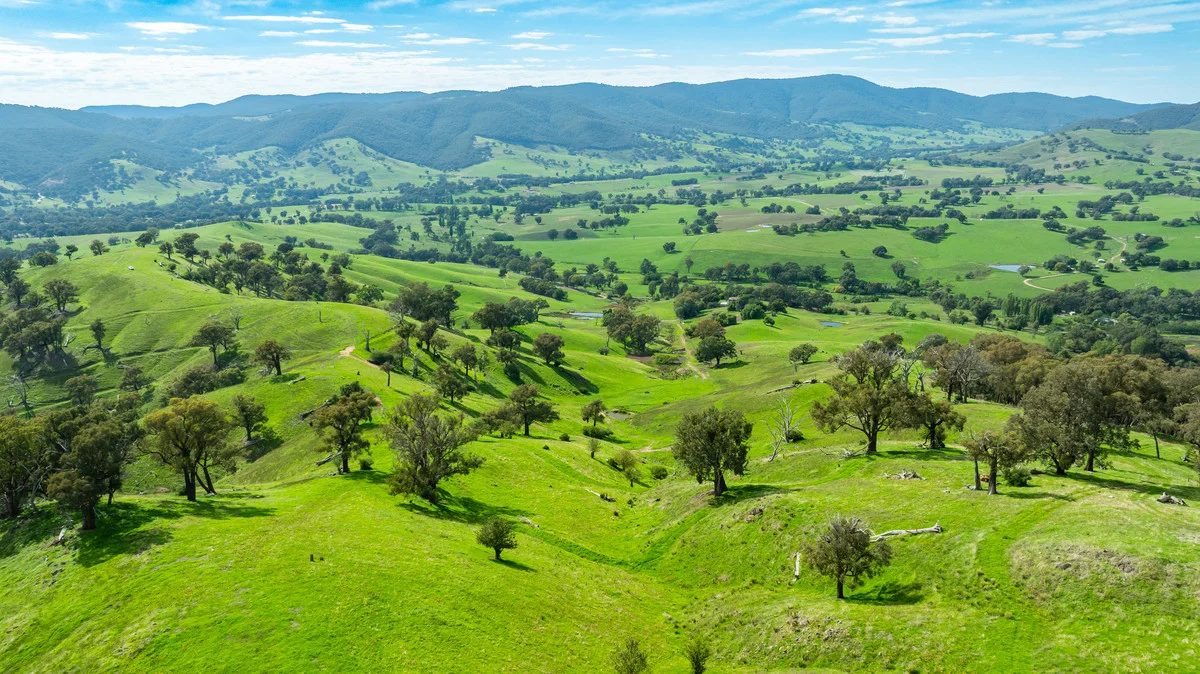 Sandy Creek Road, Sandy Creek VIC 3695