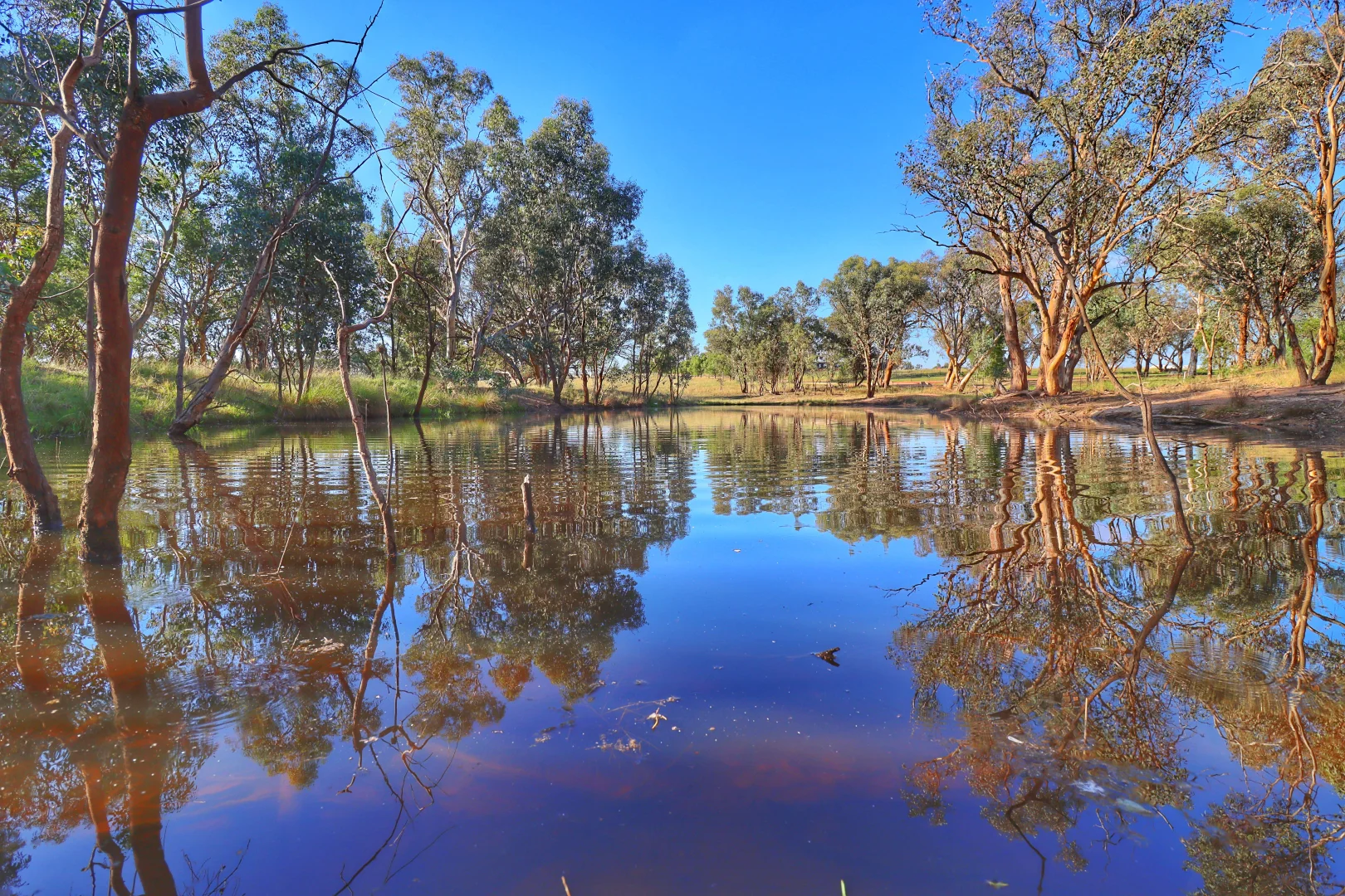 Additional image 25 of 35 Murrays Lane, Grenfell NSW 2810