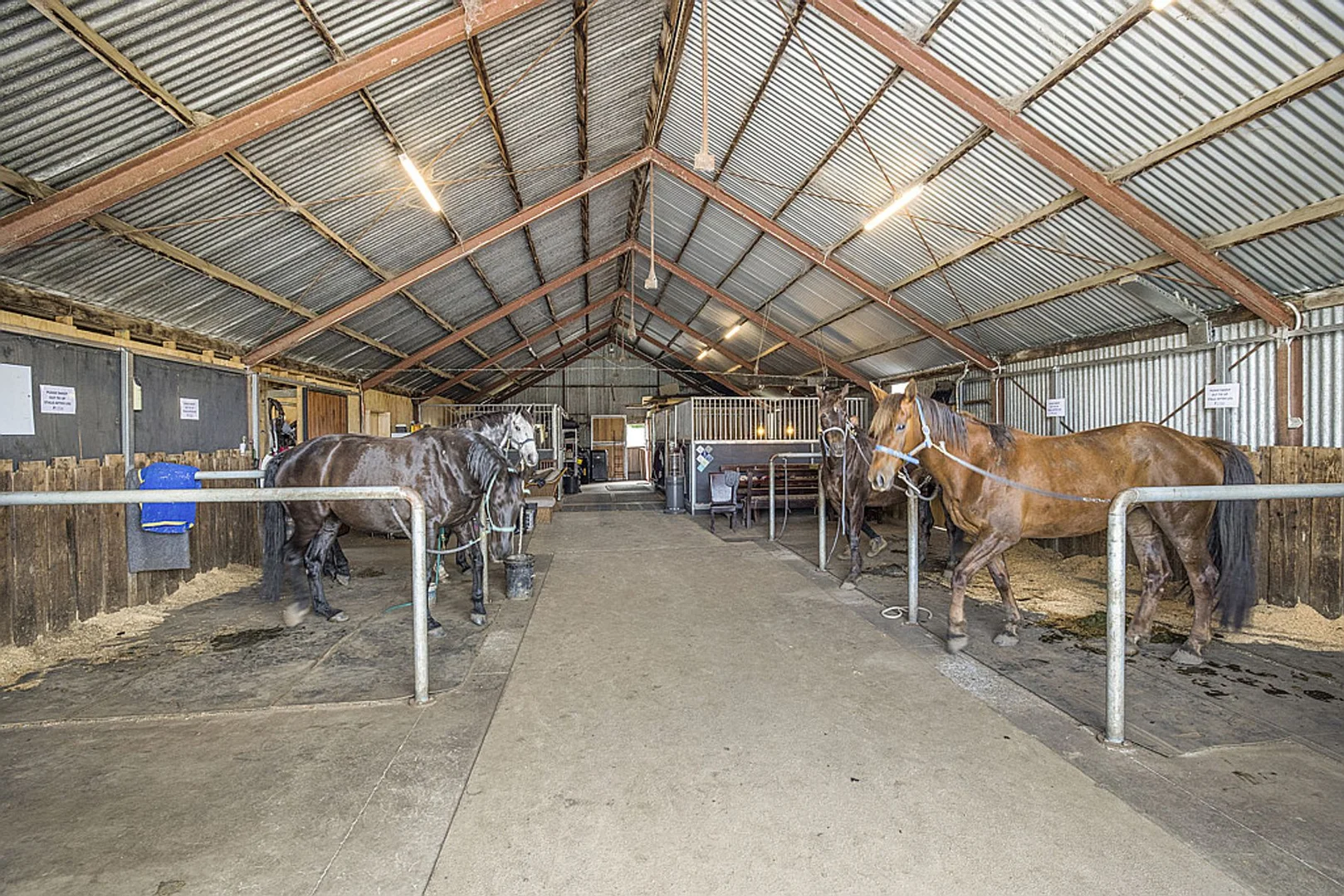 Additional image 3 of 3500 Ballarto Road, Bayles VIC 3981