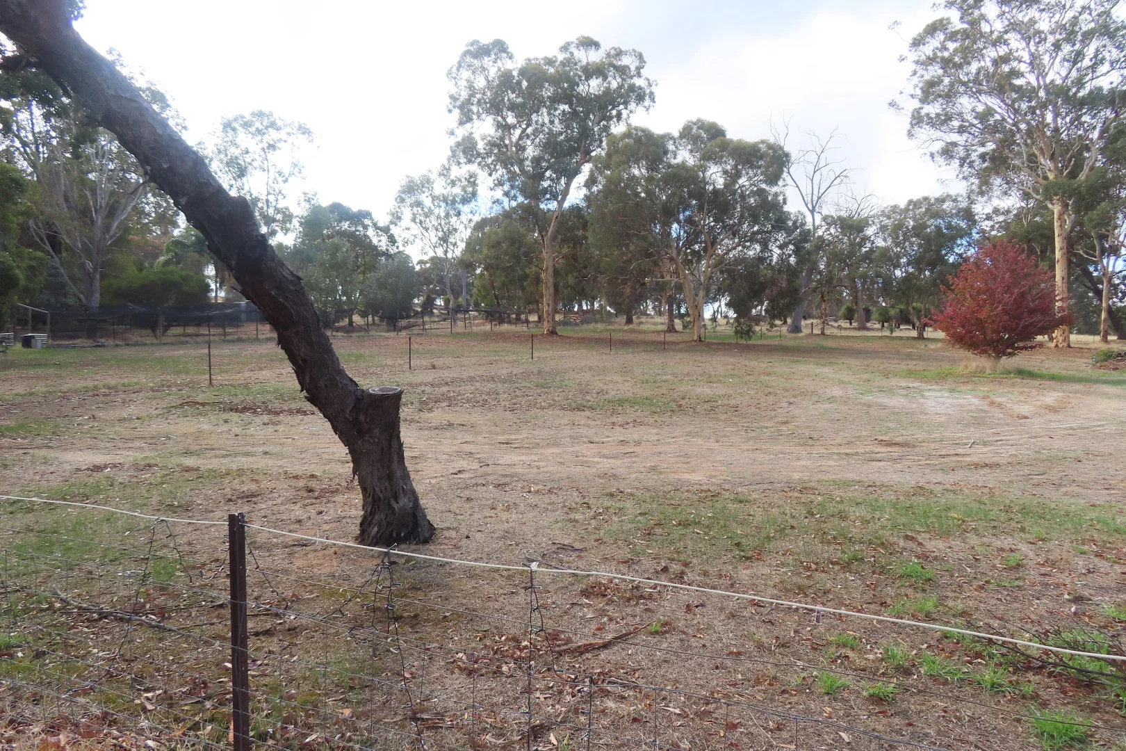Additional image 10 of 316 Carlin Road, Bakers Hill WA 6562