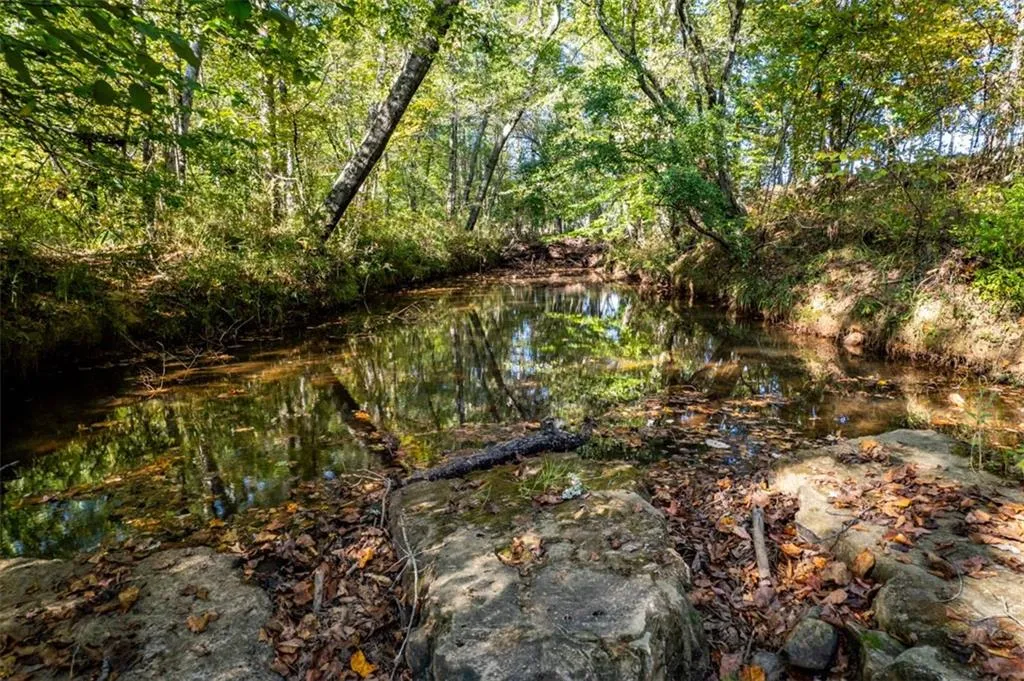 Additional image 3 of Lee Rd 334, Salem, AL 36874
