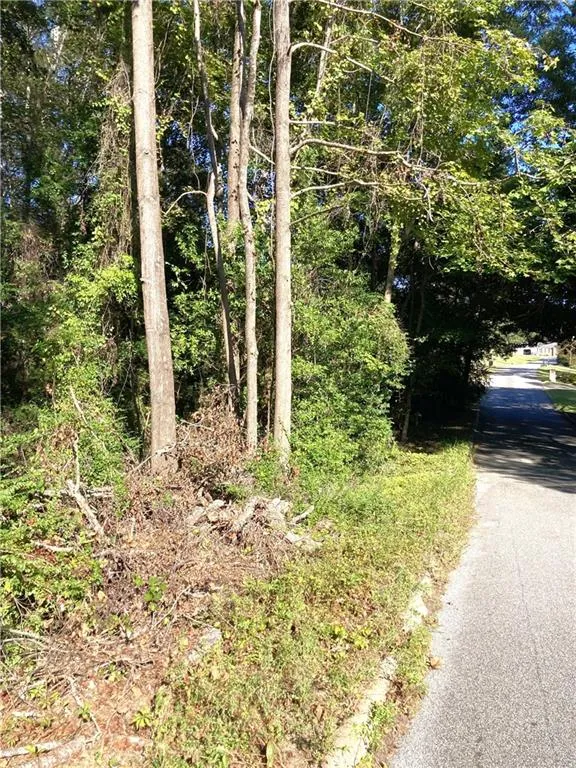 Additional image 16 of Big Spring Drive, Phenix City, AL 36870