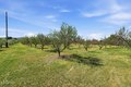 Additional image 30 of 7624 E Avenue U, Littlerock, CA, 93543