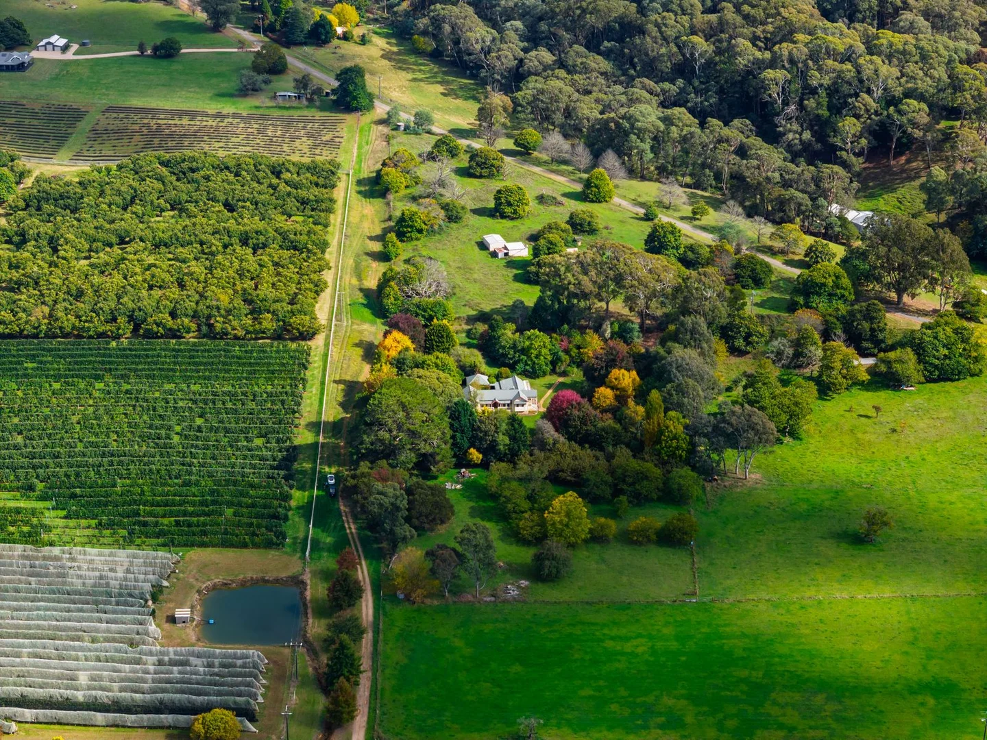 Additional image 26 of 16 Fredos Lane, Wandiligong VIC 3744