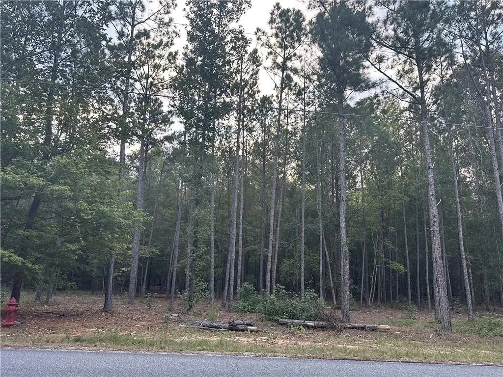 Additional image 8 of Lee Rd 288, Smiths Station, AL 36877